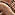 Brown Tooled Nappa